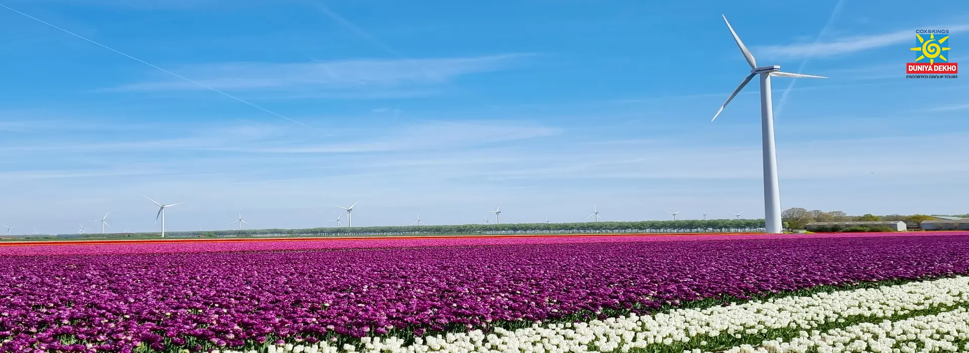 Duniya Dekho Highlights of Europe Summer 2026